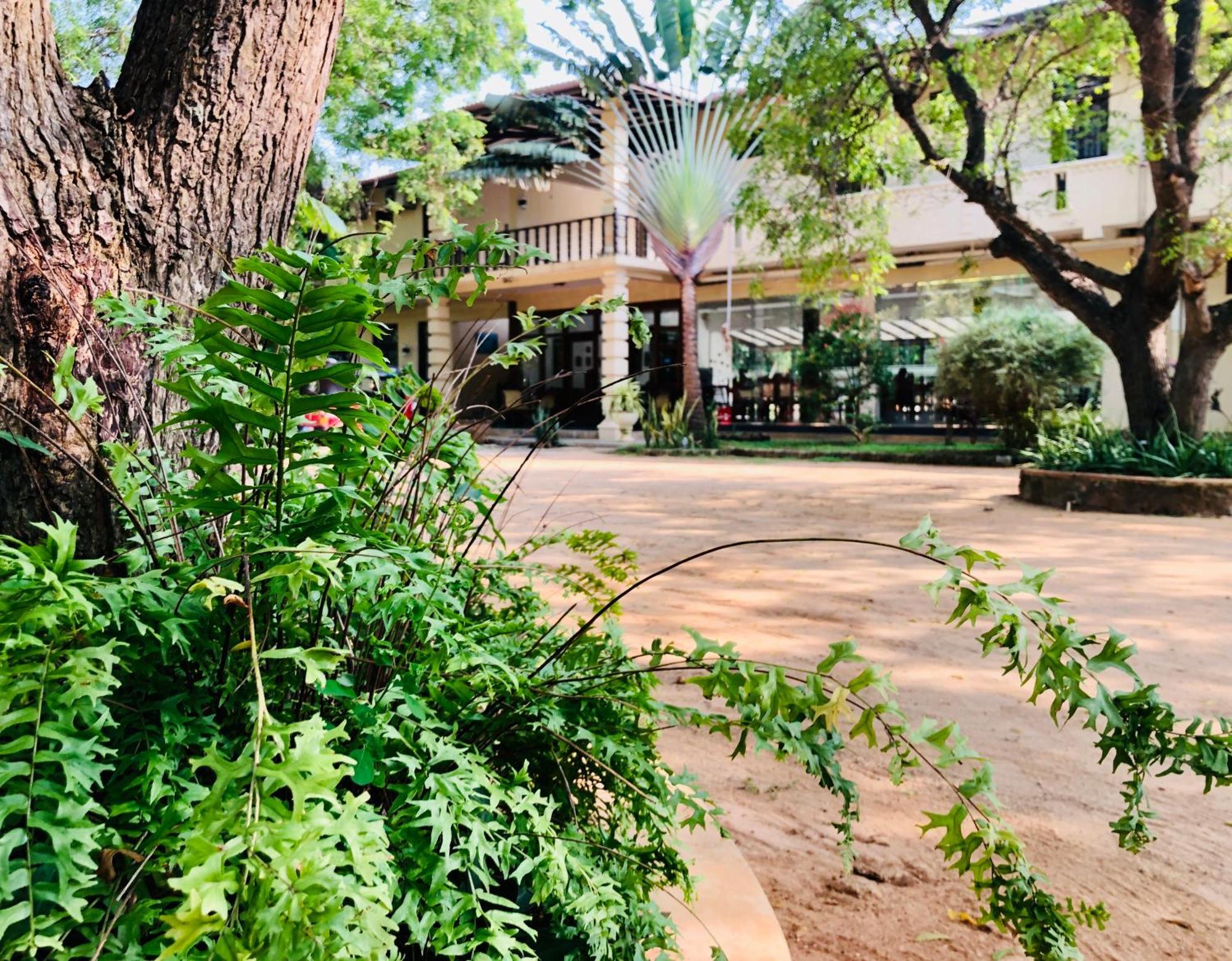 Saman Resort Yala Тиссамахарама Экстерьер фото