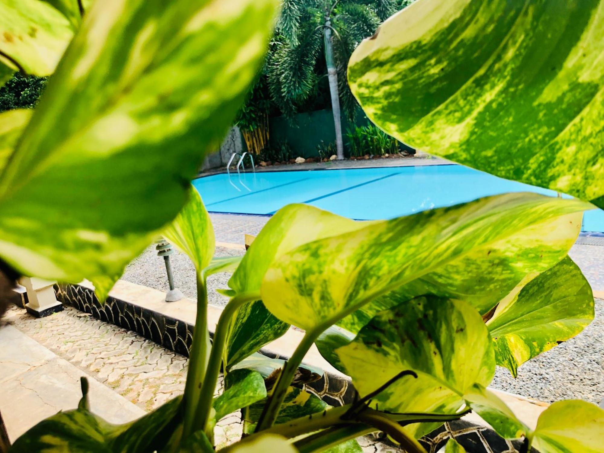 Saman Resort Yala Тиссамахарама Экстерьер фото