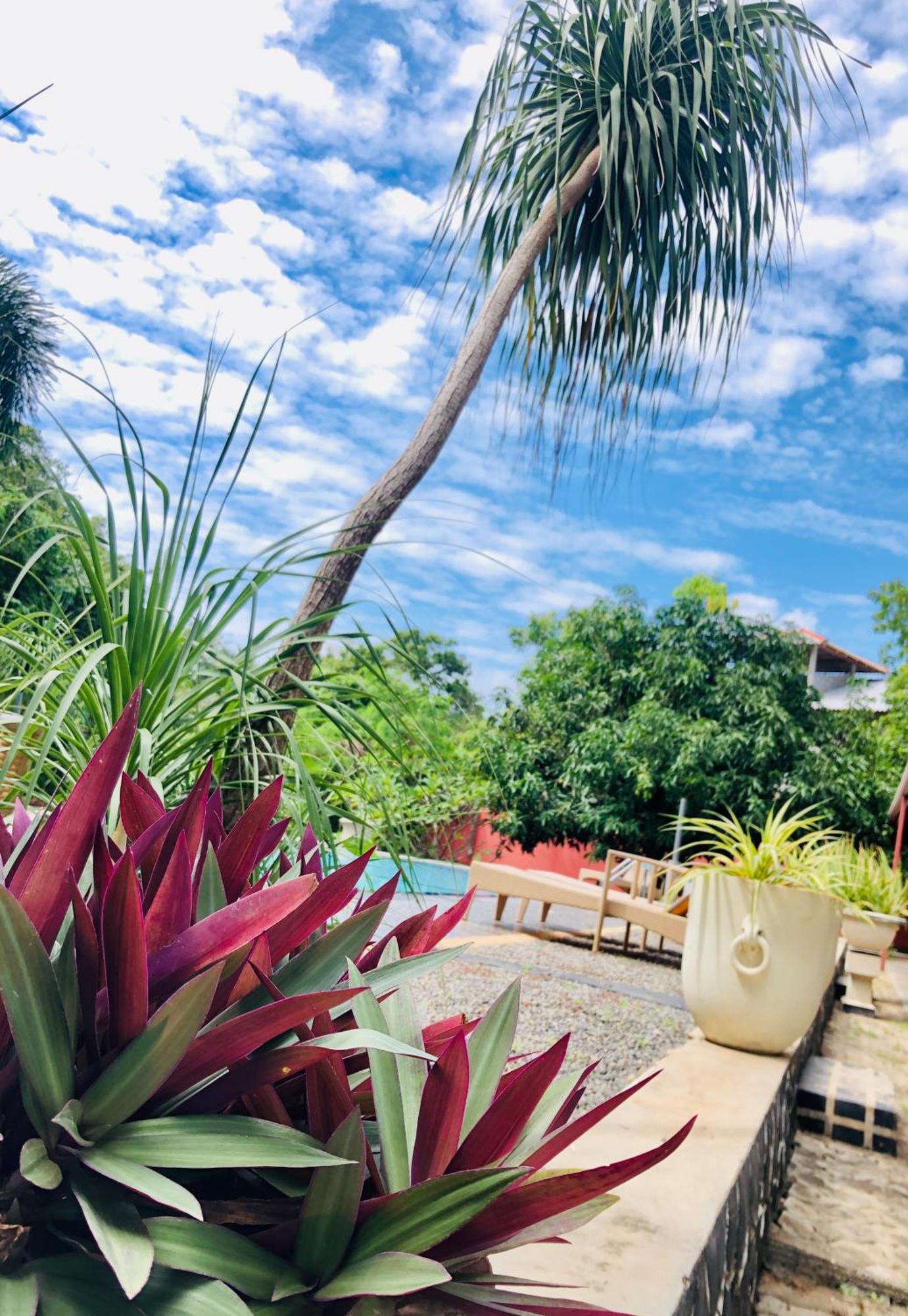 Saman Resort Yala Тиссамахарама Экстерьер фото