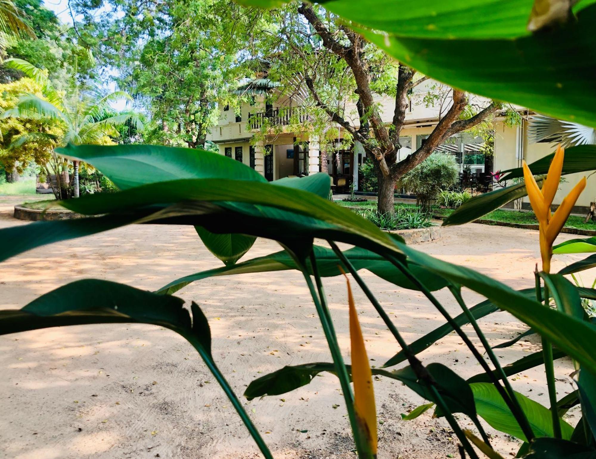 Saman Resort Yala Тиссамахарама Экстерьер фото