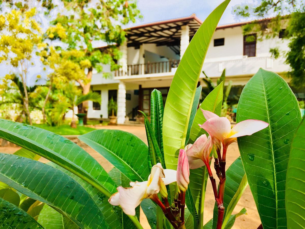 Saman Resort Yala Тиссамахарама Экстерьер фото